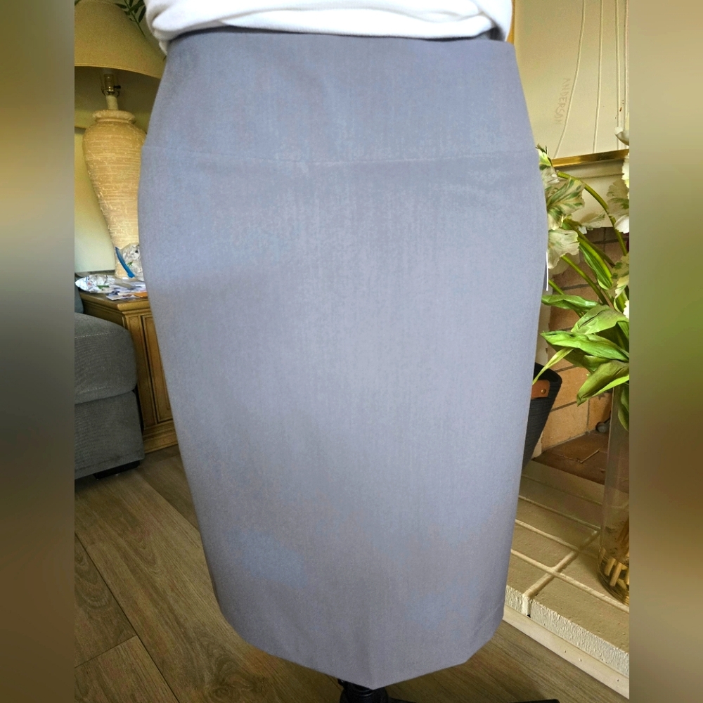 Skirt by Ellen Tracy  EUC